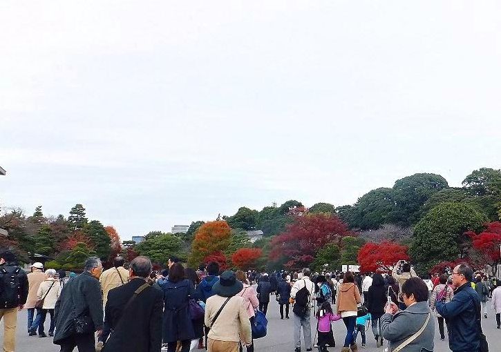 Opening of Inui Street to the public (Tokyo Imperial Palace)